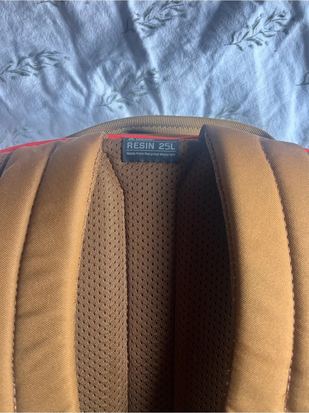 Deuter Resin 25L pack